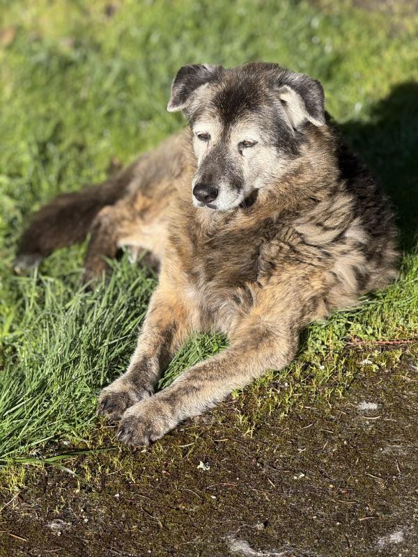 Jax uploaded   8  day/s  ago