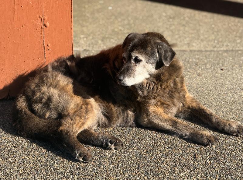 Jax uploaded   18  day/s  ago