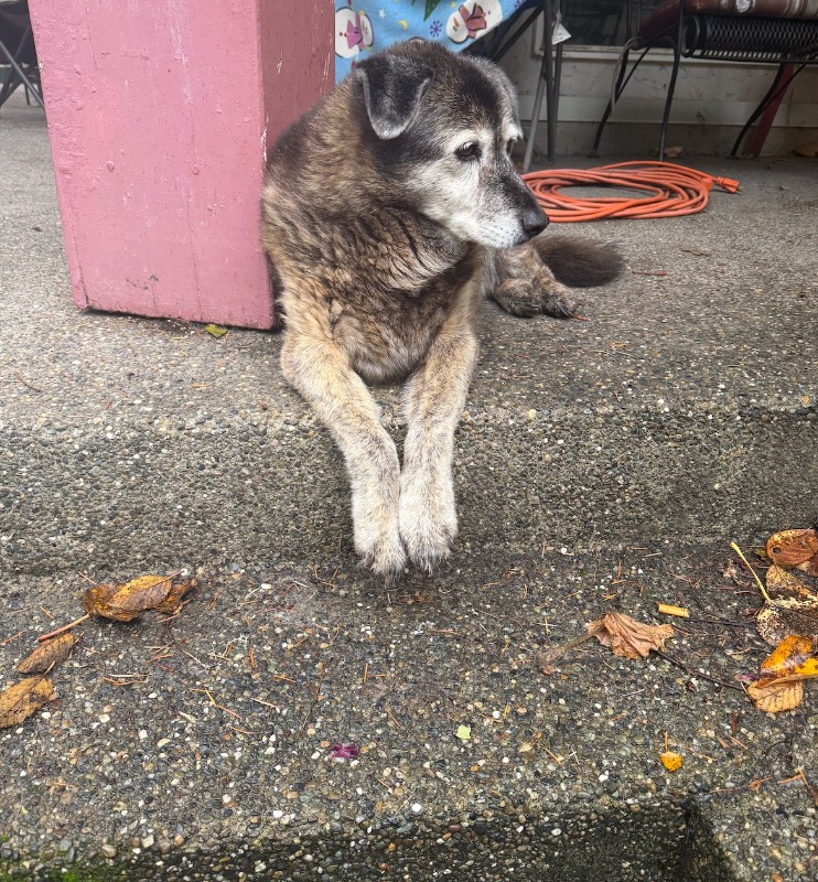 Zoey of the Jax family