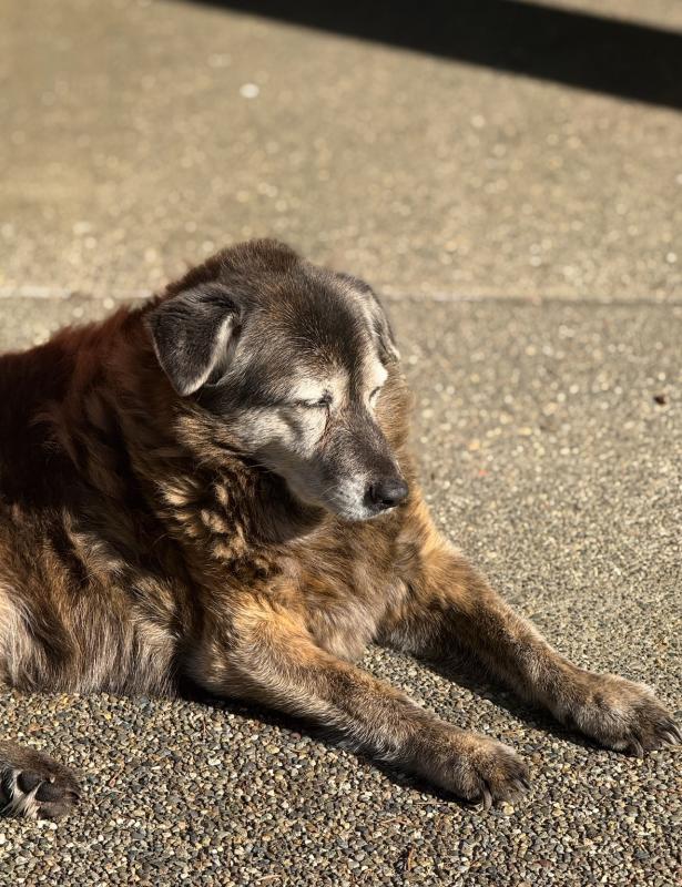 Zoey of the Jax family