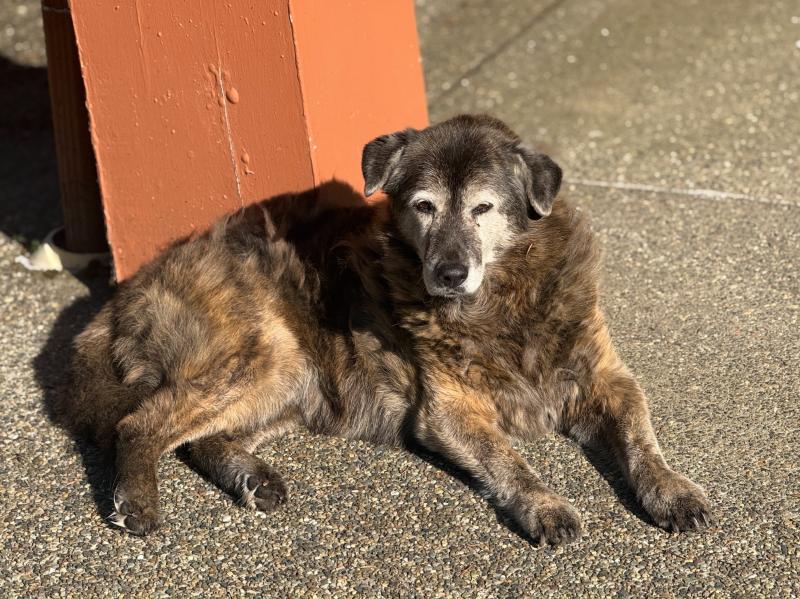 Zoey of the Jax family