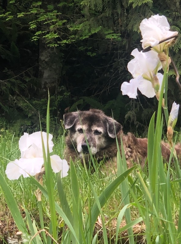 Jax uploaded   1 year/s ago