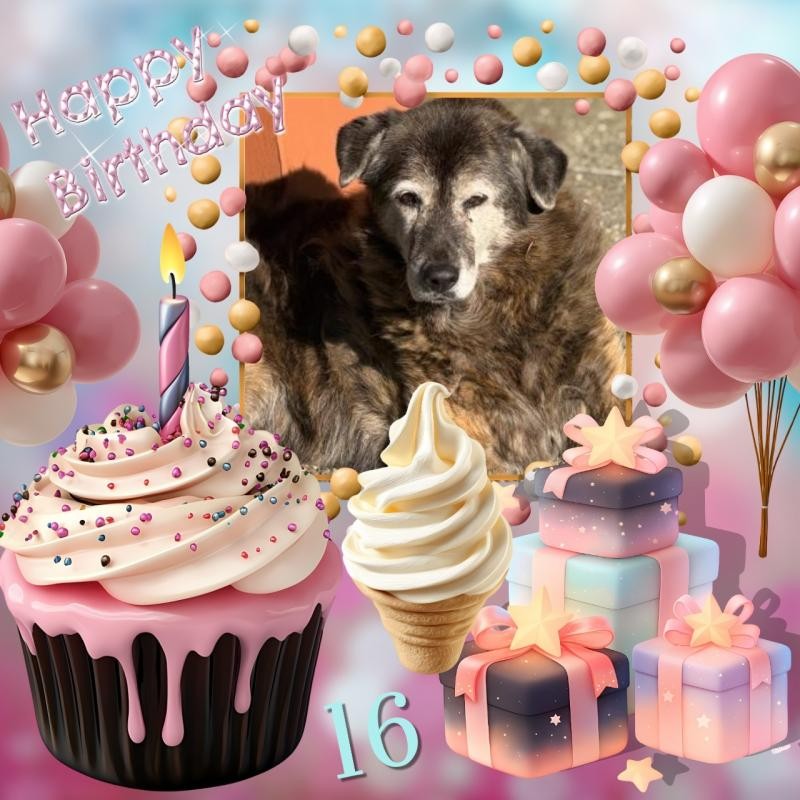 Zoey of the Jax family