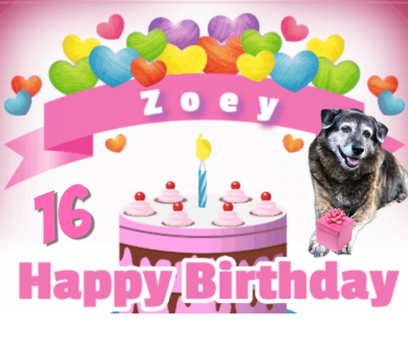 Zoey of the Jax family