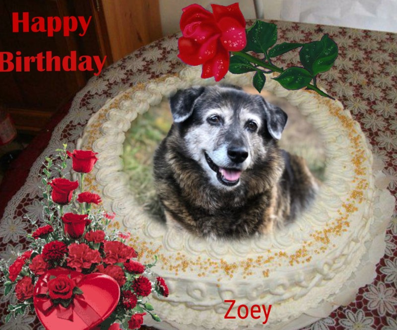 Zoey of the Jax family