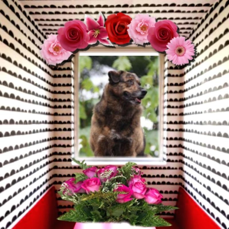 Zoey of the Jax family