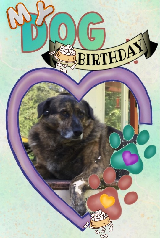 Zoey of the Jax family