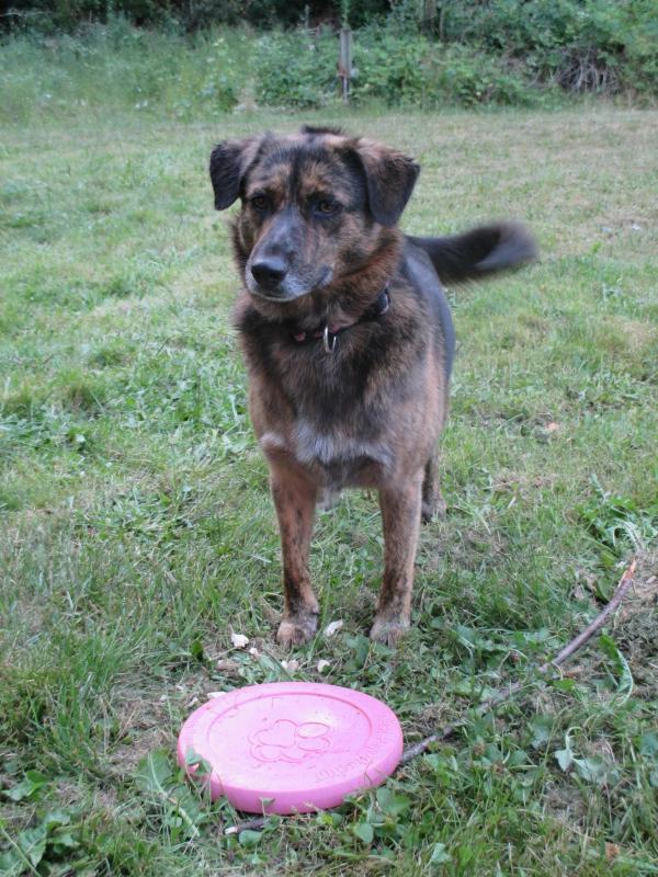 Jax uploaded   292  day/s  ago