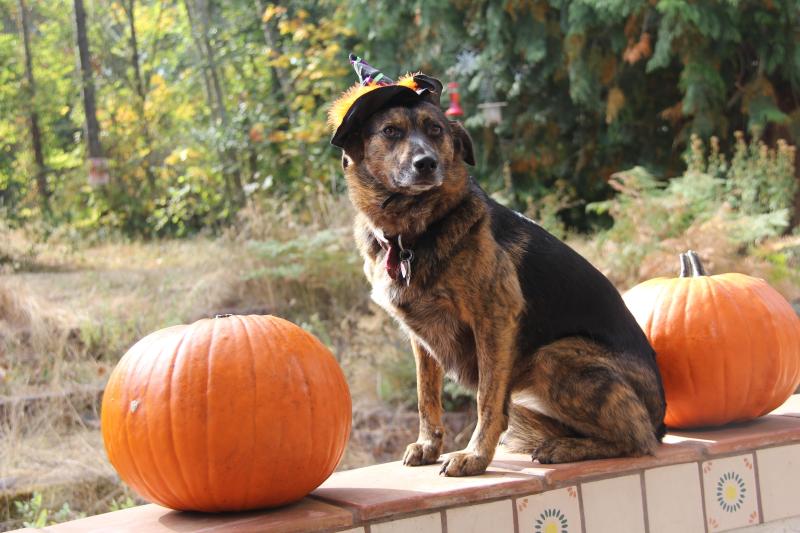 Jax uploaded   92  day/s  ago