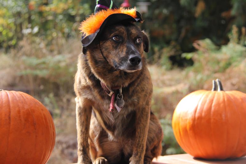 Jax uploaded   92  day/s  ago