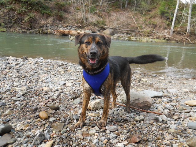 Jax uploaded   3 year/s ago