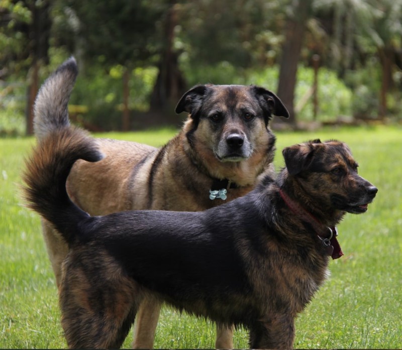 Jax uploaded   3 year/s ago