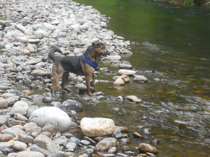 Jax uploaded   2 year/s ago