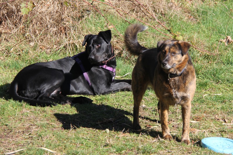 Jax uploaded   92  day/s  ago