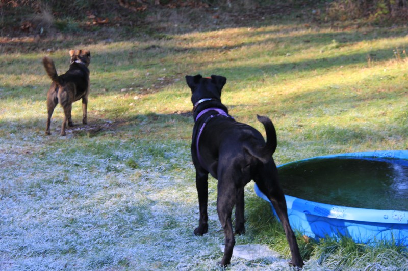 Jax uploaded   92  day/s  ago