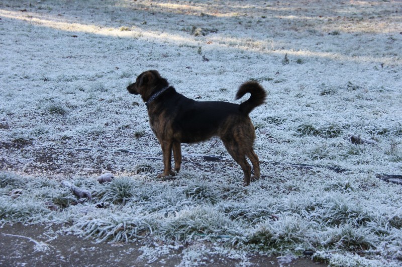 Jax uploaded   92  day/s  ago