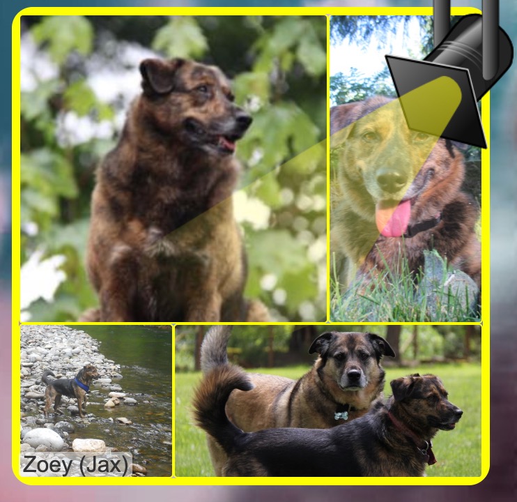 Jax uploaded   94  day/s  ago