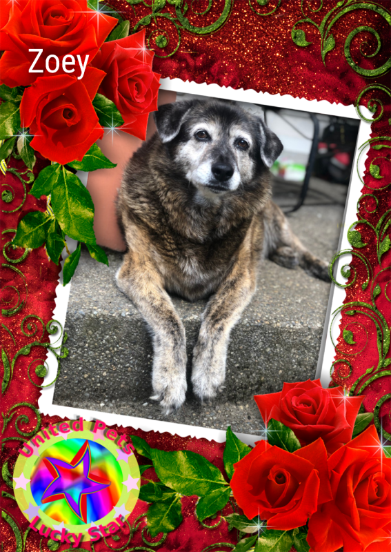 Jax uploaded   46  day/s  ago