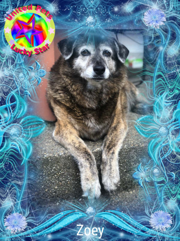 Jax uploaded   46  day/s  ago