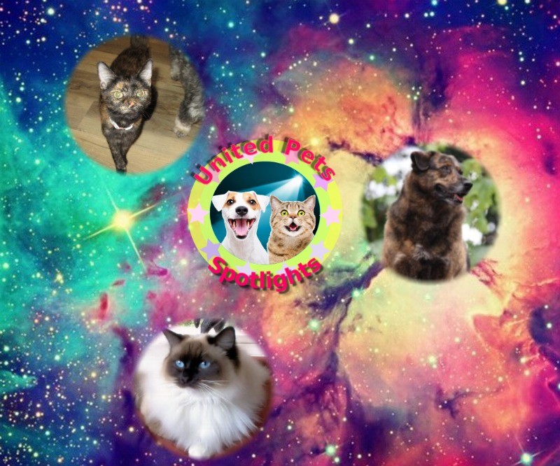 Jax uploaded   98  day/s  ago