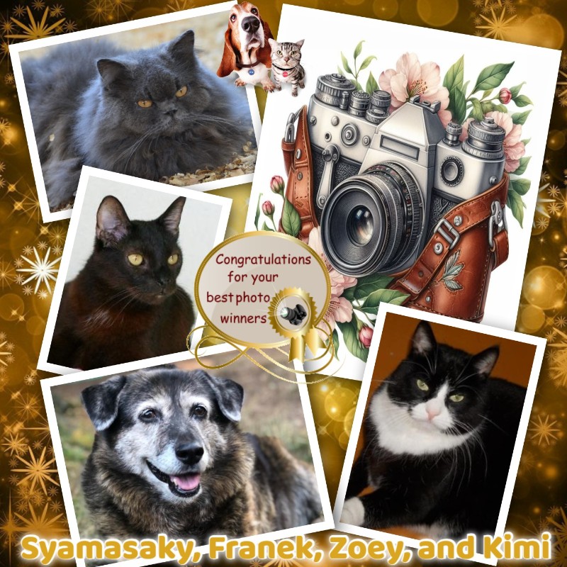 Zoey of the Jax family