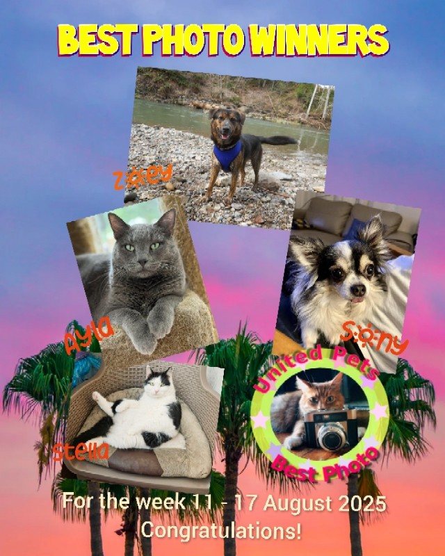 Zoey of the Jax family