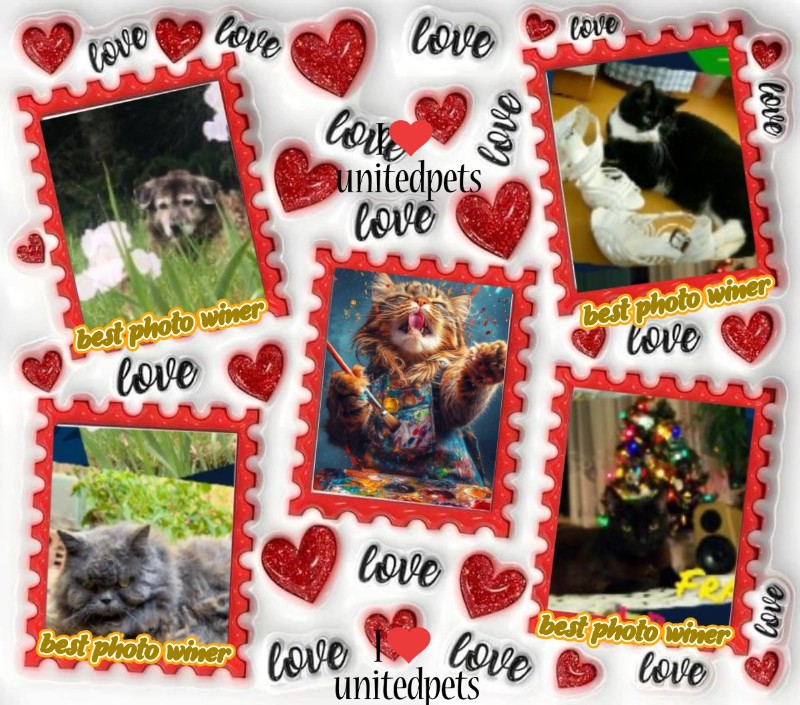 Zoey of the Jax family