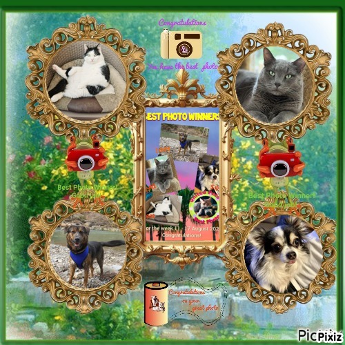 Zoey of the Jax family