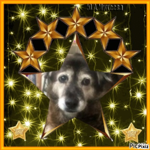 Jax uploaded   46  day/s  ago