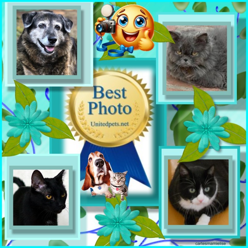 Zoey of the Jax family