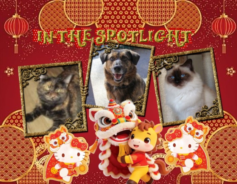 Jax uploaded   96  day/s  ago