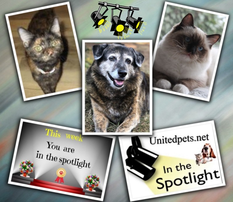 Jax uploaded   94  day/s  ago