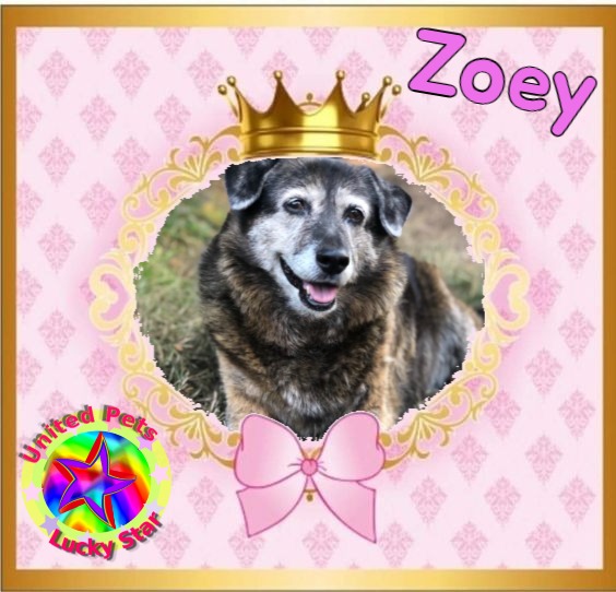 Jax uploaded   46  day/s  ago