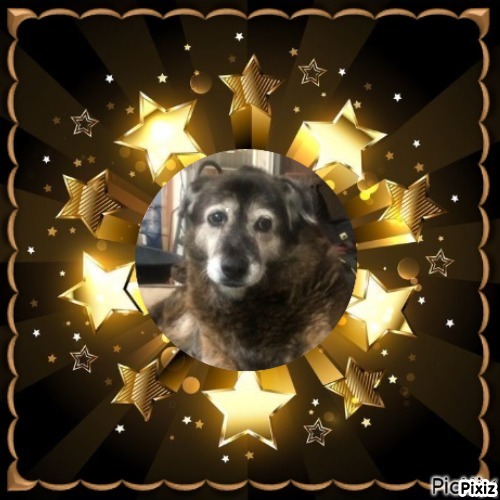 Jax uploaded   46  day/s  ago