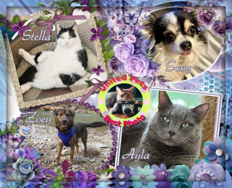 Zoey of the Jax family