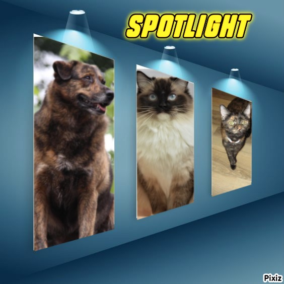 Jax uploaded   95  day/s  ago