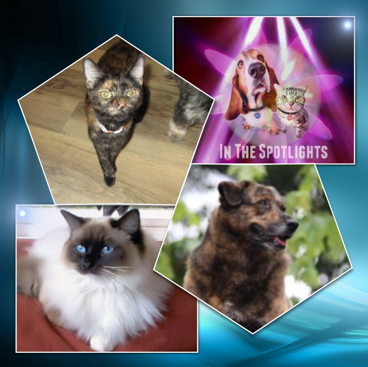 Jax uploaded   99  day/s  ago