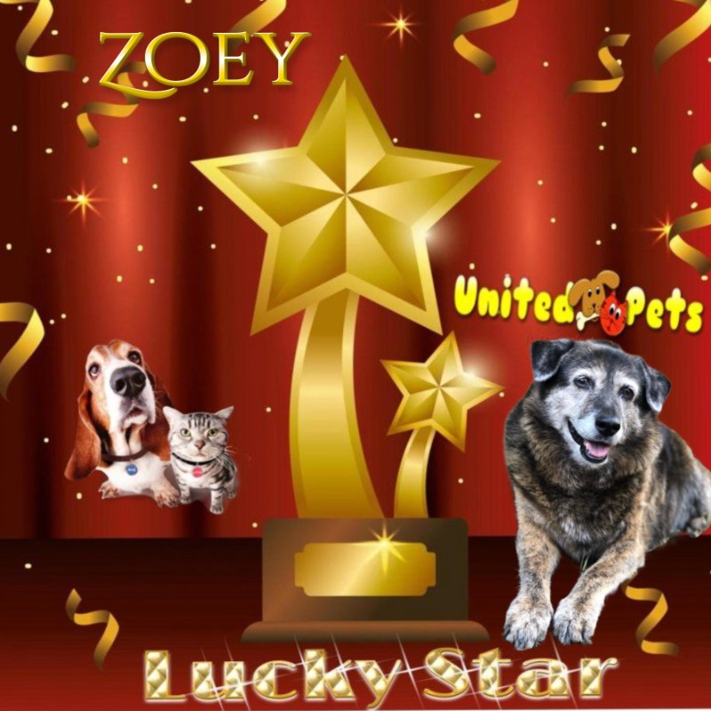 Jax uploaded   46  day/s  ago