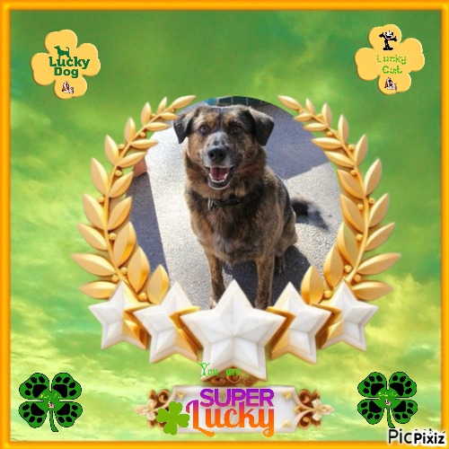 Jax uploaded   46  day/s  ago