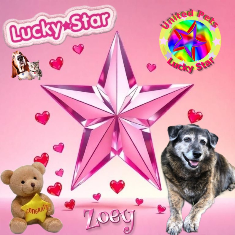 Jax uploaded   43  day/s  ago