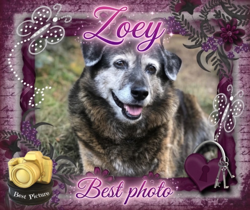 Zoey of the Jax family