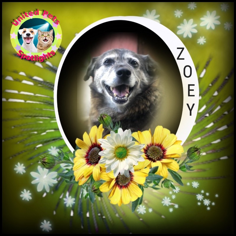 Jax uploaded   94  day/s  ago