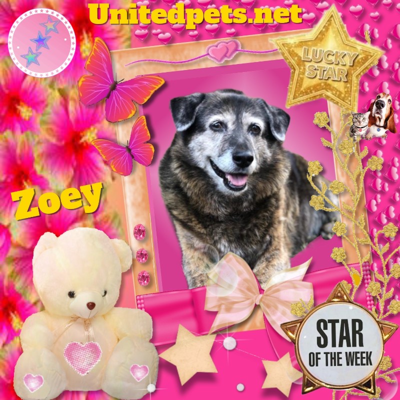 Jax uploaded   46  day/s  ago