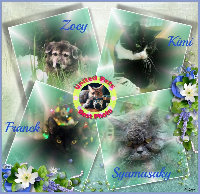 Zoey of the Jax family