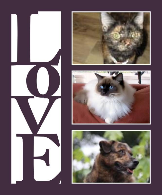 Jax uploaded   99  day/s  ago