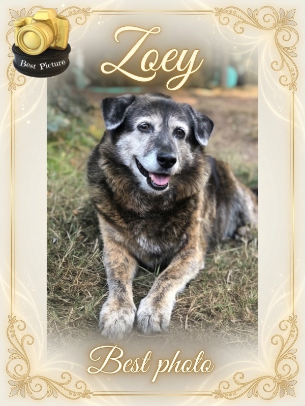 Zoey of the Jax family
