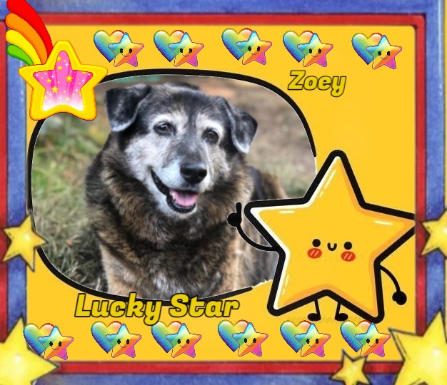 Jax uploaded   46  day/s  ago