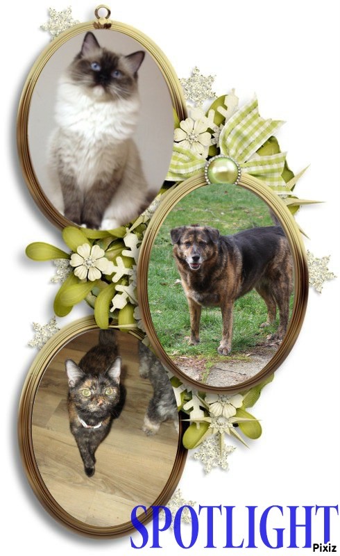 Jax uploaded   95  day/s  ago