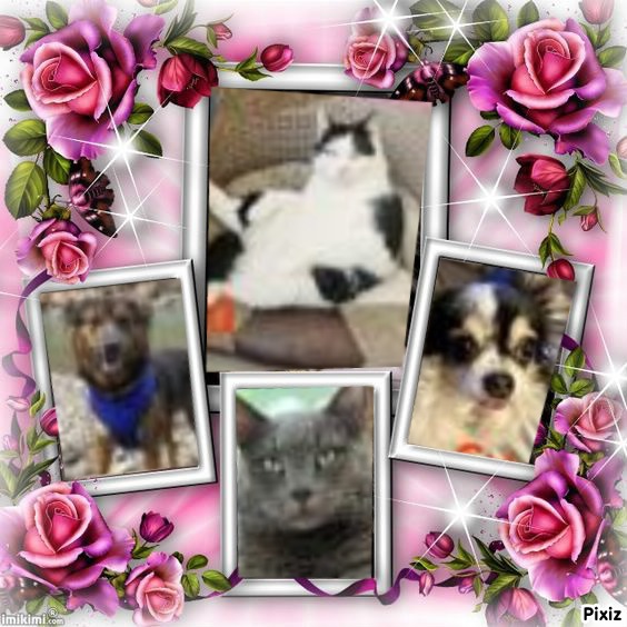 Zoey of the Jax family