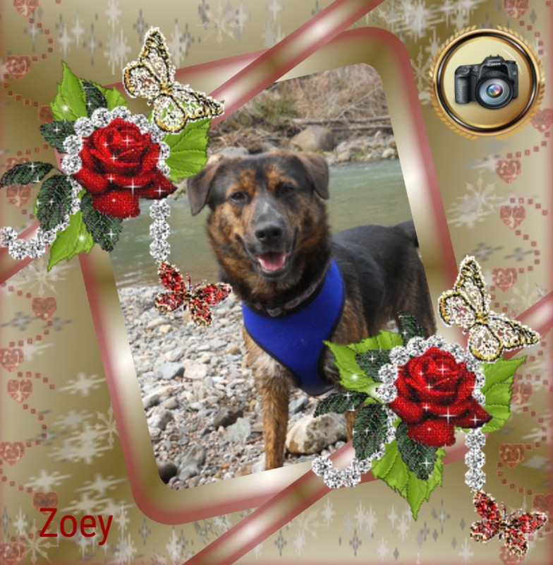 Zoey of the Jax family